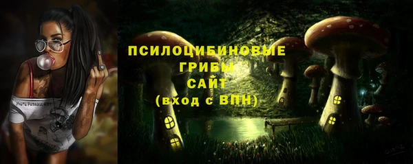 СК Алексеевка