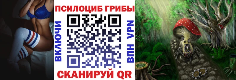 Псилоцибиновые грибы Cubensis  наркота  даркнет наркотические препараты  Абакан 